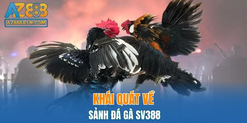 Khái quát về sảnh đá gà SV388
