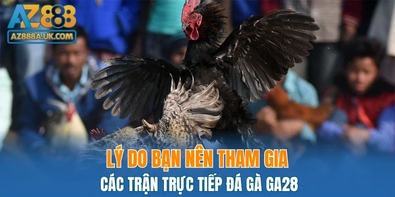 Lý do bạn nên tham gia các trận trực tiếp đá gà GA28