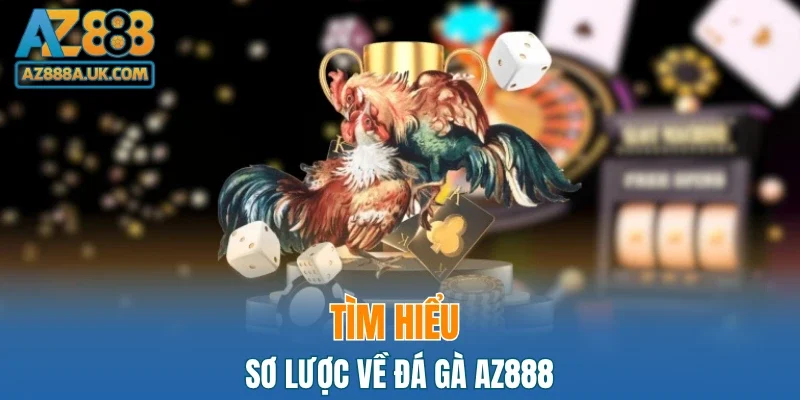 Tìm hiểu sơ lược về đá gà AZ888